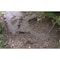 Weedguard Plus WeedGuard Plus Standard Weight Biodegradable Paper Weed Barrier FRAN009748000000050 - alternate 2